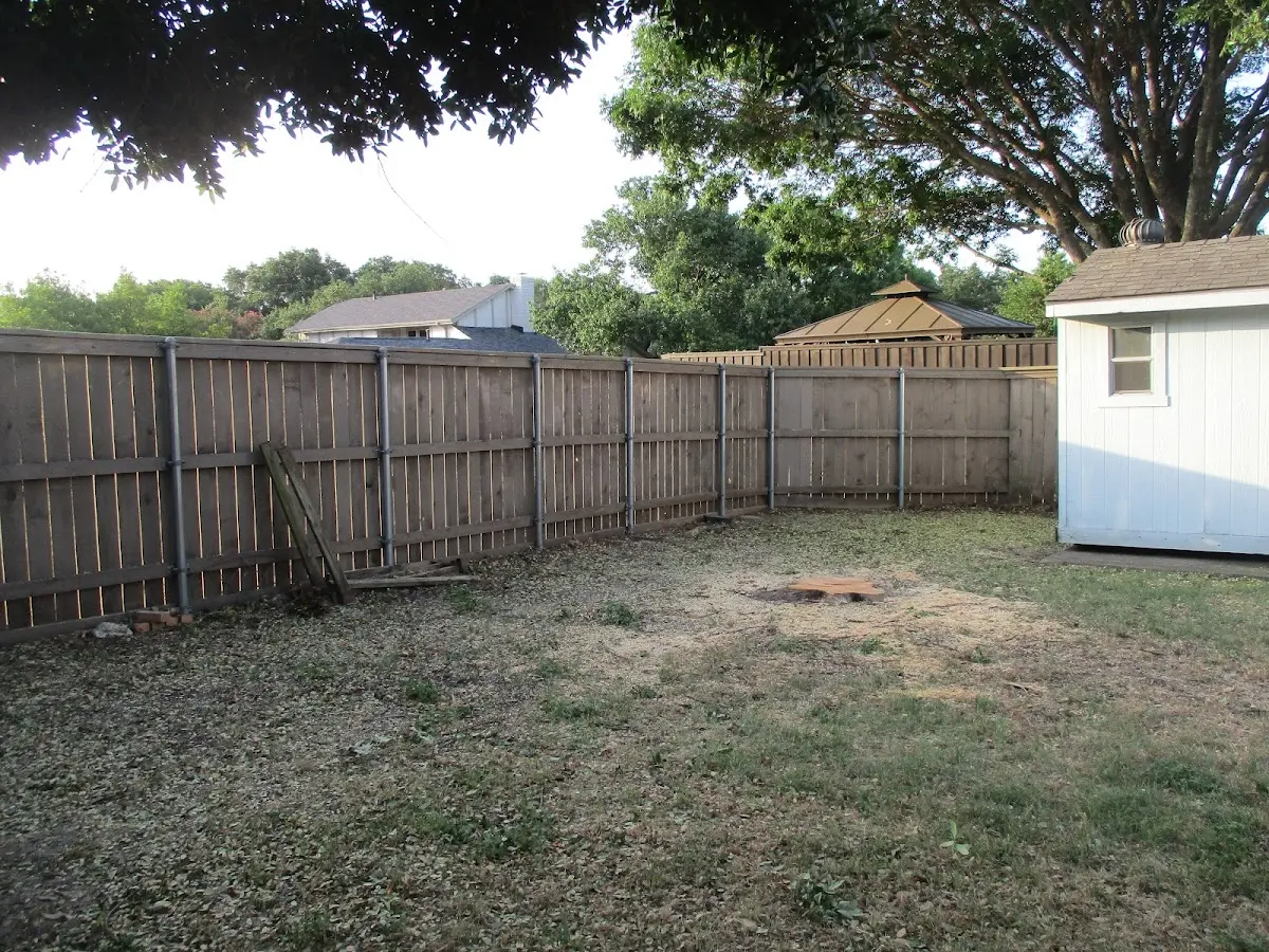 Cleared yard after professional tree removal in South Carrollton